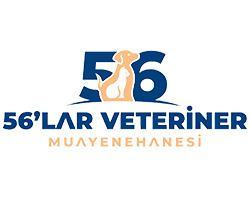 56 lar Veteriner Muayenehanesi