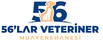 56 lar Veteriner Muayenehanesi